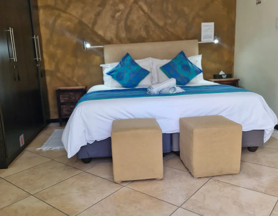 Blue Gecko Room3_converted