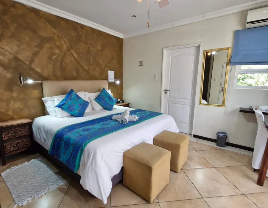 Blue Gecko room 3_converted