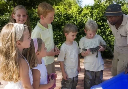 lumleys-activities-5